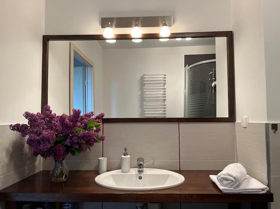 Apartament Hemingwaya Jelenia Góra Extérieur photo