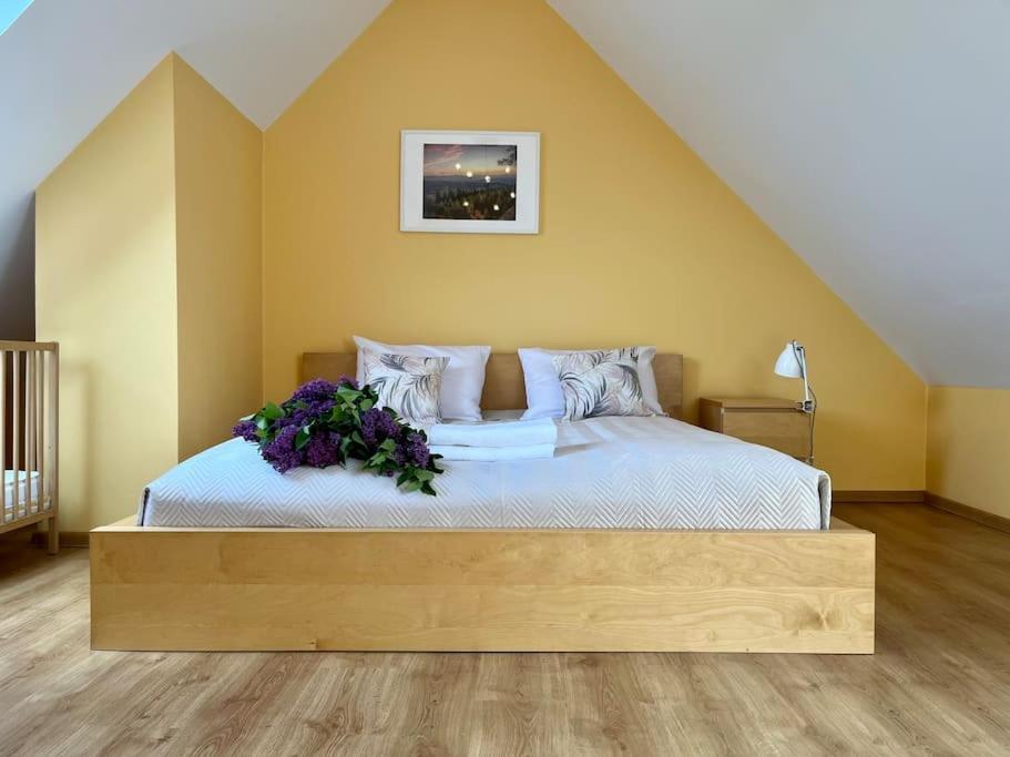Apartament Hemingwaya Jelenia Góra Extérieur photo