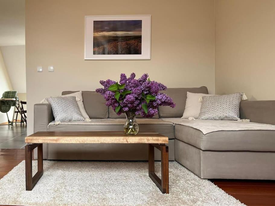 Apartament Hemingwaya Jelenia Góra Extérieur photo