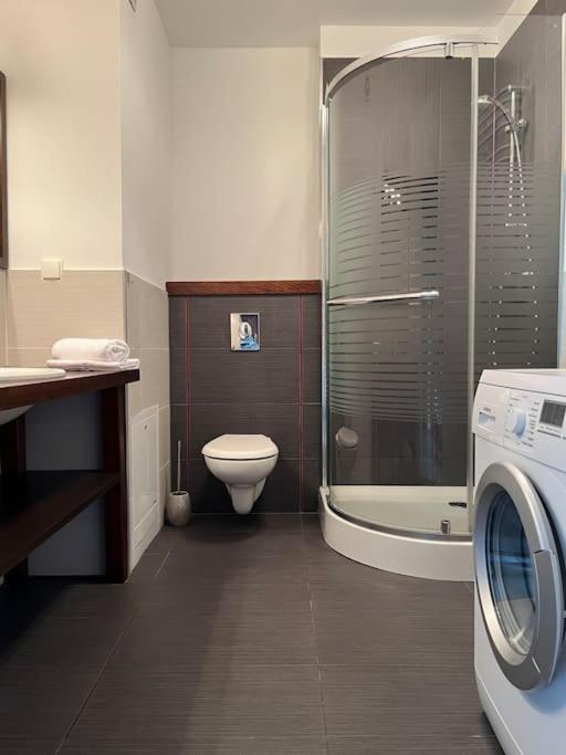 Apartament Hemingwaya Jelenia Góra Extérieur photo